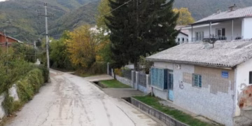 Avokati kërkon shqyrtim të punës së Prokurorisë në Serbi për rastin “Panda”