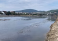 Liqeni Artificial në Mitrovicë po mbulohet nga barishtet