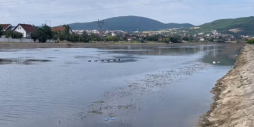 Liqeni Artificial në Mitrovicë po mbulohet nga barishtet