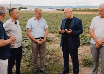 ​Oferta e Ardian Gjinit merr përkrahjen e bujqve: Kërkohet rritja e pragut të TVSH-së dhe tatimi në tokën e punuar
