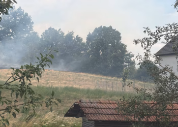 Lokalizohet dhe shuhet zjarri në Ballancë të Vitisë