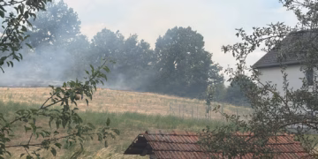 Lokalizohet dhe shuhet zjarri në Ballancë të Vitisë