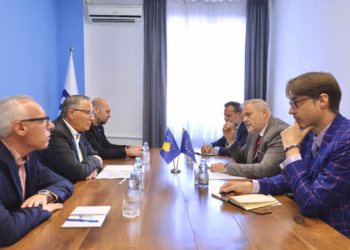 Hamza pas takimit me ambasadorin e Austrisë: Kosovës i duhen institucione stabile dhe zhvillim për qytetarët
