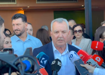 Imri Ahmeti: Shkarkimi i Abdixhikut është në të mirë të LDK-së