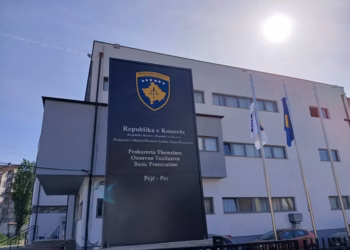 Mashtroi qytetarët duke u paraqitur si përfaqësuese e një OJQ-je, i ngritët aktakuzë