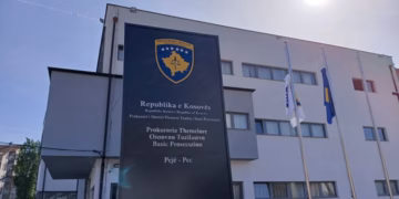 Mashtroi qytetarët duke u paraqitur si përfaqësuese e një OJQ-je, i ngritët aktakuzë