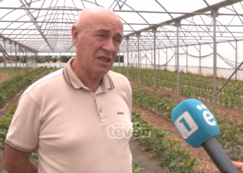 Bujqit me ankesa: Nuk u kompensuan as vitet e kaluara për dëmet e pësuara