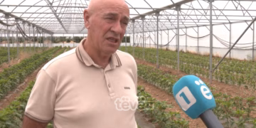Bujqit me ankesa: Nuk u kompensuan as vitet e kaluara për dëmet e pësuara