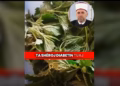 Figura e myftiut Tërnava përdoret për reklamim të produkteve, BIK: Videot nuk paraqesin realitetin