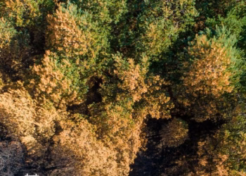 Në Prishtinë hapet ekspozita “Mbrojtja nga Zjarri në natyrë Përmes Fotografisë Tuaj”