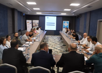 Mbahet punëtoria për fuqizimin e kolegjiumit të zyrtarëve për diasporë