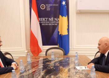 Gjini: Aleanca gati të kontribuojë për zhbllokimin institucional