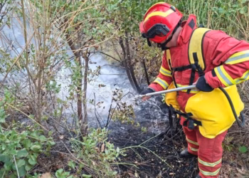 Zjarret në Shqipëri, 10 vatra aktive, ndërhyrje nga ajri në Milot, Dajt, Vlorë dhe Pukë
