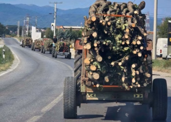 Në Ferizaj konfiskohen gjashtë traktorë me dru pa dokumentacion