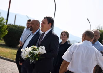 Kurti: Gjaku i dëshmorëve është në themelet e Republikës