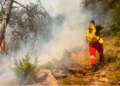 ​Shqipëri, 34 vatra zjarri – nuk rrezikohen zonat e banuara