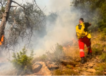 ​Shqipëri, 34 vatra zjarri – nuk rrezikohen zonat e banuara