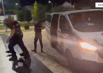 Arrestohen dy të rinj në Shkodër, po transportonin me furgon 2 mijë e 500 fidanë kanabisi