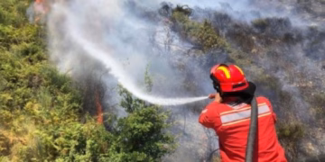 Përmirësohet situata me zjarret në Shqipëri