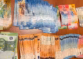 Dogana e Kosovës  parandalon futjen e mbi 18 mijë eurove të padeklaruara në Kosovë
