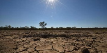 Meteorologët britanikë: El Nino, më i forti në 100 vjet