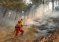 30 vatra zjarri në 24 orë në Shqipëri, 8 vijojnë aktive