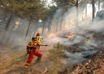 30 vatra zjarri në 24 orë në Shqipëri, 8 vijojnë aktive