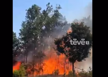 Shpërthen zjarri në fshatin Kollë të Vushtrrisë