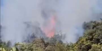 Riaktivizohet zjarri në malin e Krujës, flakët shumë pranë banesave