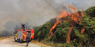 Zjarret në Shqipëri, 4 vatra aktive, tre helikopterë në terren