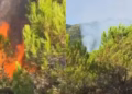 Zjarret në Shqipëri, Ministria e Mbrojtjes: 24 vatra në 24 orë, 7 mbeten aktive, angazhohen qindra forca dhe mjete