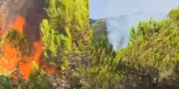 Zjarret në Shqipëri, Ministria e Mbrojtjes: 24 vatra në 24 orë, 7 mbeten aktive, angazhohen qindra forca dhe mjete