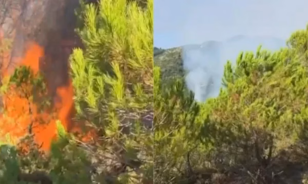 Zjarret në Shqipëri, Ministria e Mbrojtjes: 24 vatra në 24 orë, 7 mbeten aktive, angazhohen qindra forca dhe mjete