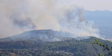 Zjarret dogjën 1.225 hektarë pyje në Shqipëri, Vlora më e dëmtuara