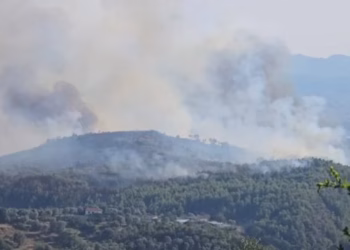 8 vatra zjarri aktive në Shqipëri, 533 forca në terren, helikopterë dhe dy avionë Air Tractor