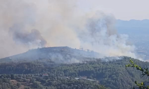 8 vatra zjarri aktive në Shqipëri, 533 forca në terren, helikopterë dhe dy avionë Air Tractor