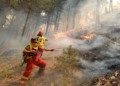 Situata e zjarreve në Shqipëri, raportohen 20 vatra, katër prej tyre mbeten aktive