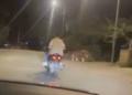 Tetë gjoba dhe sekuestrim i motoçikletës, policia ndëshkon dy persona në Prishtinë