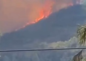 Përfshihen nga flakët kodrat në Shkodër, ndërhyrje edhe nga ajri