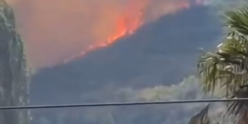 Përfshihen nga flakët kodrat në Shkodër, ndërhyrje edhe nga ajri