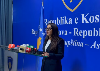 Lushaku-Sadriu thotë se LDK është e gatshme për kontribut në zgjidhjen e presidentit të Kosovës
