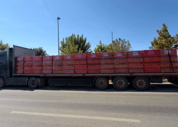 300 euro gjobë për kompaninë në Prizren, kamioni transportonte blloqe ndërtimi pa siguruar ngarkesën