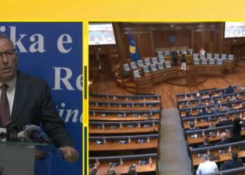 Hamza: PDK-ja nuk ka më arsye të marrë pjesë në punimet e Kuvendit, çështjen do ta dërgojmë në Kushtetuese