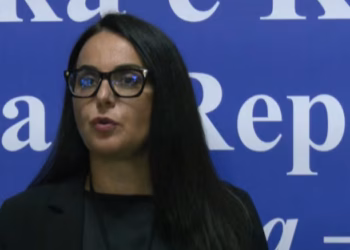 Lushaku: Kur ekziston vullneti politik, institucionet mund të bëhen shumë lehtë