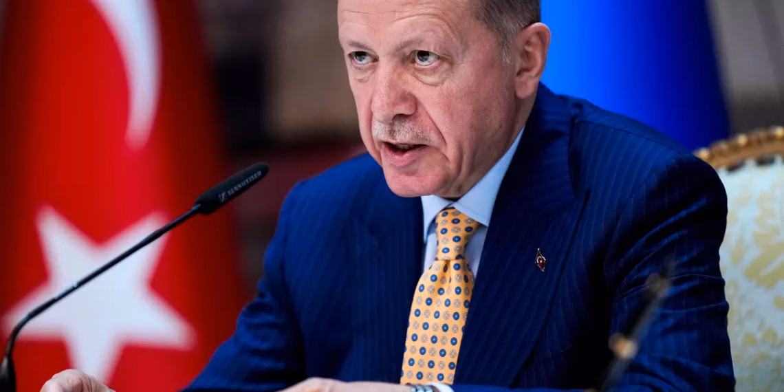 Erdogani bën thirrje për reformimin e Këshillit të Sigurimit të OKB-së dhe heqjen e vetos