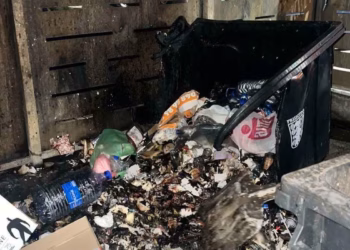 Shtatë kontejnerë digjen gjatë natës në dy rrugë të Prishtinës