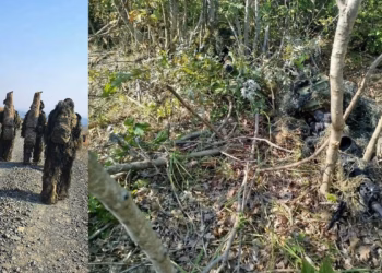 Pjesëtarët e FSK-së përfundojnë Kursin e Avancuar për Snajper