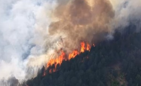 Shqipëria vazhdon të digjet, 11 vatra aktive zjarri, situata problematike në Malin e Dajtit
