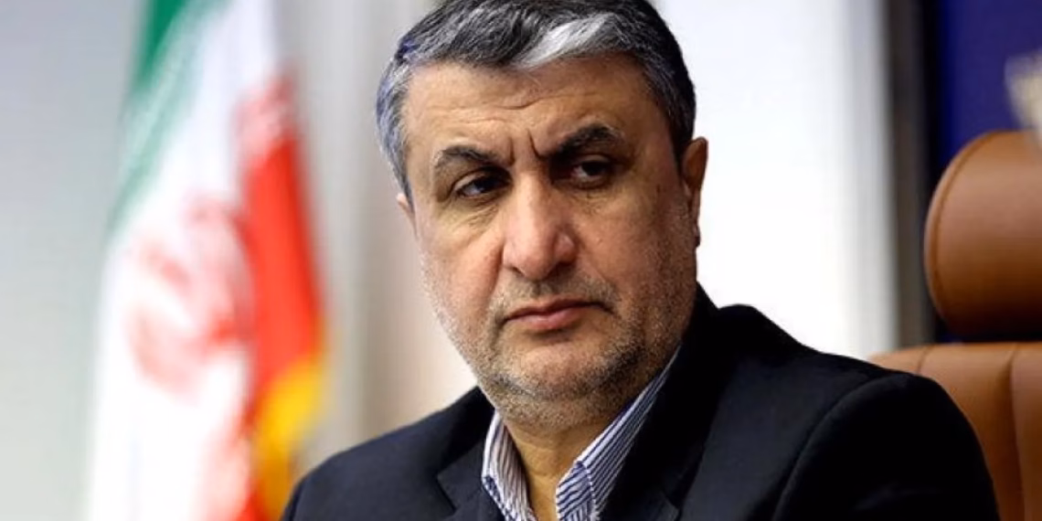 Austria i refuzon vizën kreut të Agjencisë së Energjisë Bërthamore të Iranit për konferencën e IAEA-s