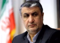 Austria i refuzon vizën kreut të Agjencisë së Energjisë Bërthamore të Iranit për konferencën e IAEA-s